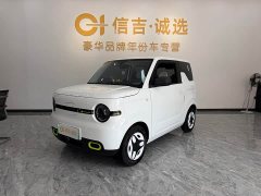 Geely Panda Mini 210km Vitality Edition - ფოტო 1