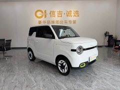 Geely Panda Mini 210km Vitality Edition - ფოტო 2