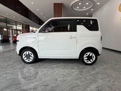 Geely Panda Mini 210km Vitality Edition - ფოტო 6