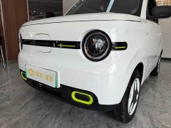 Geely Panda Mini 210km Vitality Edition - ფოტო 7