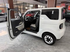 Geely Panda Mini 210km Vitality Edition - ფოტო 9