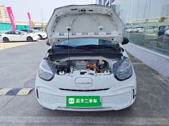 SAIC Clever 311km Vitality Pop Edition - ფოტო 16