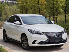 Changan Eado New Energy EV460 Edition - ფოტო 3