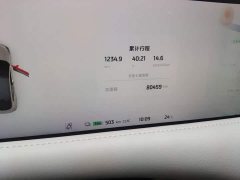 IM Motors Zhiji LS6 Max Long Range - ფოტო 8