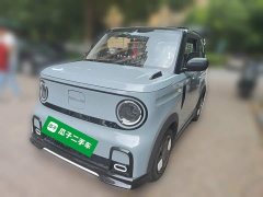 Geely Panda 200km Panda Kart - ფოტო 1