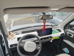 Geely Panda 200km Panda Kart - ფოტო 14