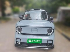 Geely Panda 200km Panda Kart - ფოტო 2