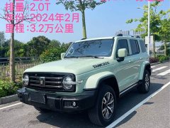 Tank 300 2.0T Explorer - ფოტო 2