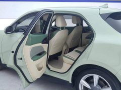 ORA Good Cat 401km Standard Range Comfort Edition LFP Battery - ფოტო 11