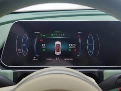 ORA Good Cat 401km Standard Range Comfort Edition LFP Battery - ფოტო 14