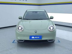 ORA Good Cat 401km Standard Range Comfort Edition LFP Battery - ფოტო 2