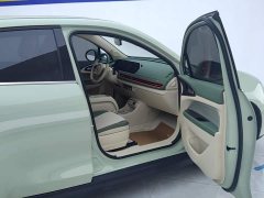 ORA Good Cat 401km Standard Range Comfort Edition LFP Battery - ფოტო 8