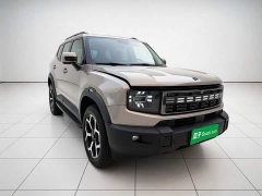 Jetour Jietu Shanhai T1 2024 150km Xianghu - ფოტო 3