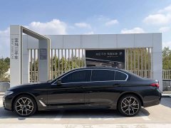 BMW 5 Series 530Li Luxury M Sport Package - ფოტო 13