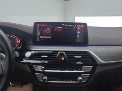 BMW 5 Series 530Li Premier Luxury Package - ფოტო 13