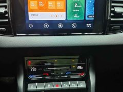 Skoda Corollac Facelift TSI280 Luxury Edition - ფოტო 14