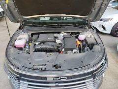 BYD Destroyer 05 Glory Edition DM-i 55KM Luxury - ფოტო 20