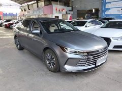 BYD Destroyer 05 Glory Edition DM-i 55KM Luxury - ფოტო 4