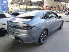 BYD Destroyer 05 Glory Edition DM-i 55KM Luxury - ფოტო 7