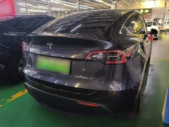 Tesla Model Y Rear-Wheel Drive - ფოტო 6