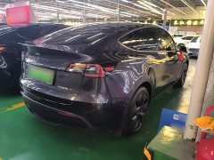 Tesla Model Y Rear-Wheel Drive - ფოტო 7