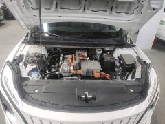 FAW Red Flag E-QM5 450km Travel Edition - ფოტო 20