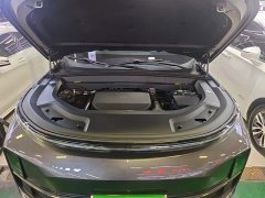 Li Auto L8 Max - ფოტო 20