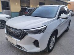 Haval M6 PLUS 1.5T DCT Elite Smart Connected Edition - ფოტო 2