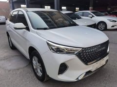Haval M6 PLUS 1.5T DCT Elite Smart Connected Edition - ფოტო 4