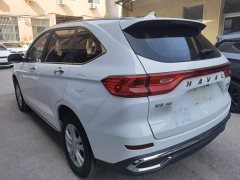 Haval M6 PLUS 1.5T DCT Elite Smart Connected Edition - ფოტო 5