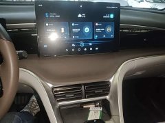 BYD Song Pro New Energy DM-i 110km Flagship - ფოტო 10