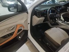 BYD Song Pro New Energy DM-i 110km Flagship - ფოტო 13