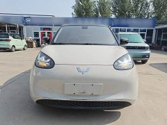Wuling Binguo 2023 333km Joy Edition - ფოტო 1