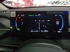 BYD Destroyer 05 Glory Edition DM-i 120KM Luxury - ფოტო 12