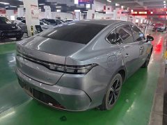 BYD Destroyer 05 Glory Edition DM-i 120KM Luxury - ფოტო 7
