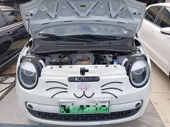 Changan Lumin 2026 Treasure Edition 205km Cool Love White CATL - ფოტო 20