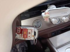 Changan Lumin 2026 Treasure Edition 205km Cool Love White CATL - ფოტო 9