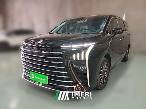 2024 Dongfeng Xinghai V9 1.5TD 200km Qingyun Ladder Series Luxury Edition - ავტომობილი ჩინეთიდან