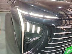 Dongfeng Xinghai V9 1.5TD 200km Qingyun Ladder Series Luxury Edition - ფოტო 11