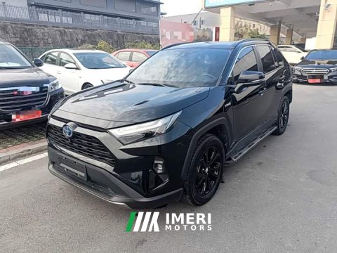2023 Toyota RAV4 2.5L E-CVTAWDPlus Edition - ავტომობილი ჩინეთიდან