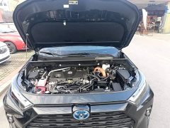 Toyota RAV4 2.5L E-CVTAWDPlus Edition - ფოტო 20