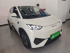 BYD Seagull Smart Driving Edition 305km Freedom Edition - ფოტო 4