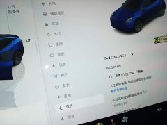 Tesla Model Y Rear-Wheel Drive - ფოტო 12