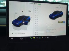 Tesla Model Y Rear-Wheel Drive - ფოტო 13