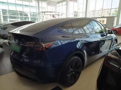 Tesla Model Y Rear-Wheel Drive - ფოტო 7