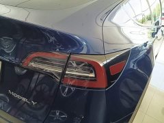 Tesla Model Y Rear-Wheel Drive - ფოტო 8