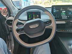 Geely A Pro Edition 600KM A600 Edition - ფოტო 11