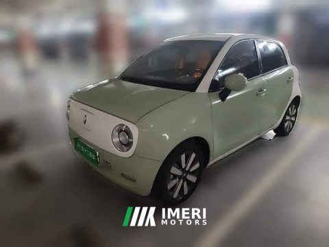 2022 Ora Black Cat 351km Standard Edition Ternary Lithium - ავტომობილი ჩინეთიდან