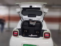 Ora Black Cat 351km Standard Edition Ternary Lithium - ფოტო 10