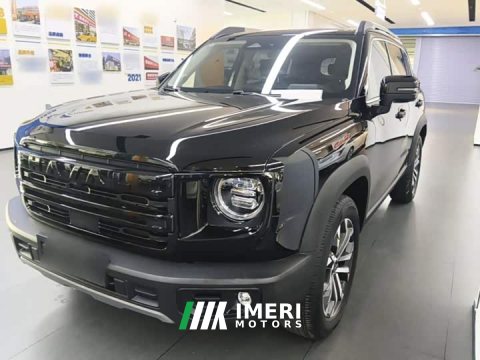 2024 Great Wall Dachshund 1.5T DCT Border Collie Edition - ავტომობილი ჩინეთიდან